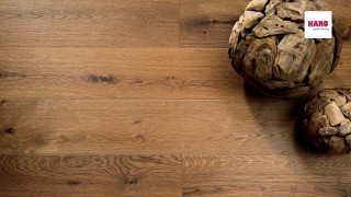 HARO Smoked Oak Sauvage br. N+ Faparketta