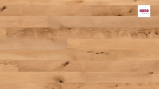HARO Beech Steamed Universal brushed N+ Faparketta